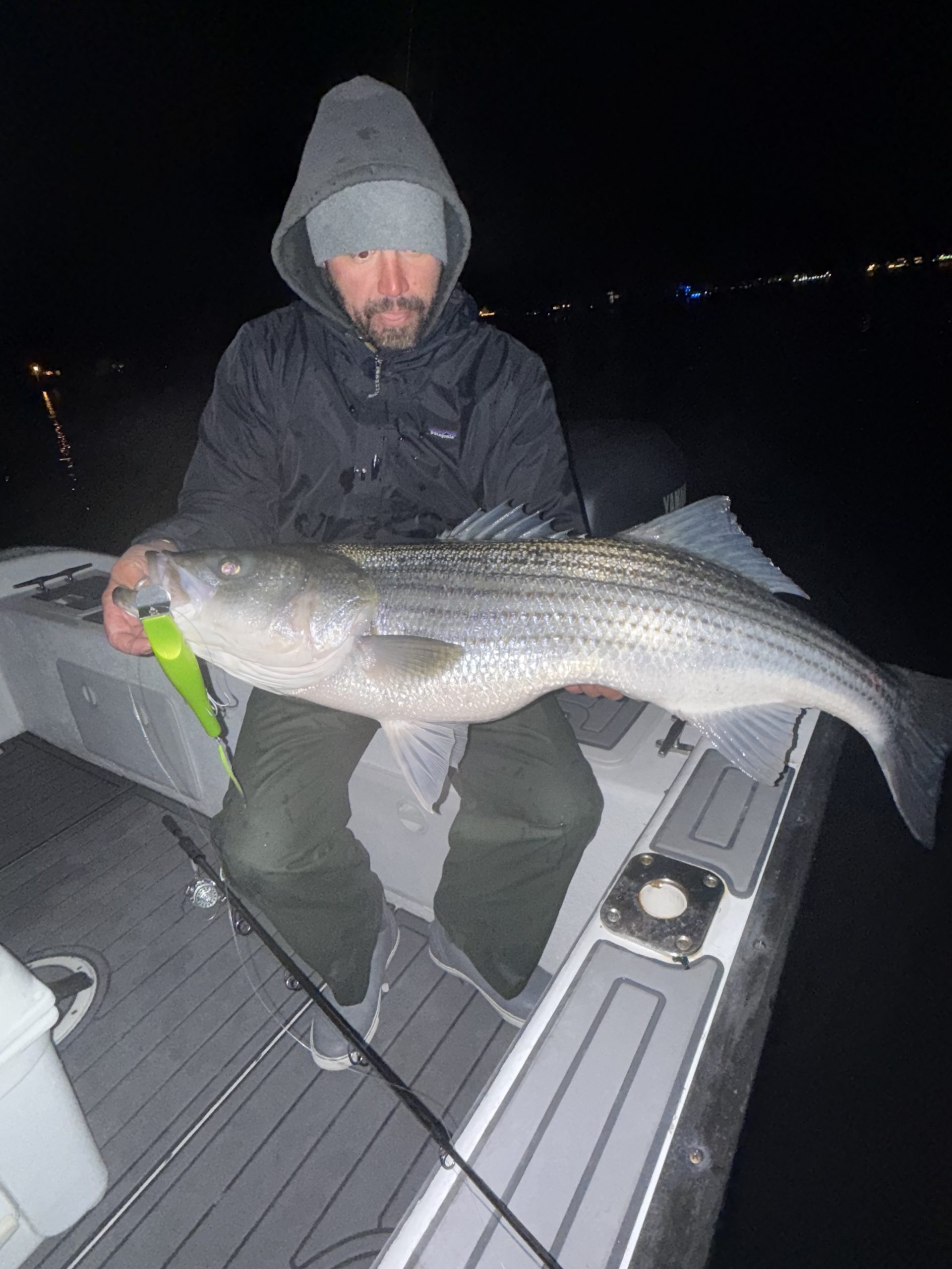 Striper Migration Update: Massive Easter Blitz Hits New Jersey