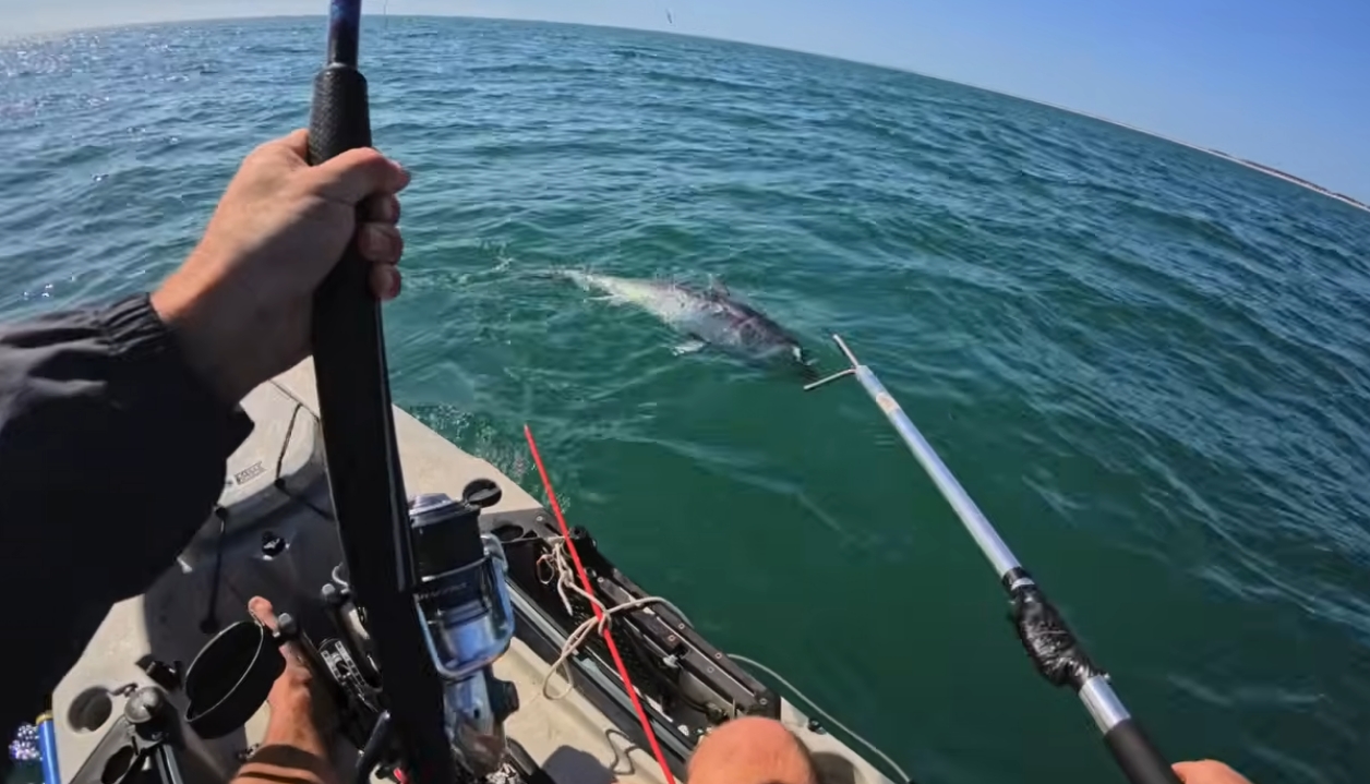 Video: Kayak Anglers Lands Bluefin Tuna