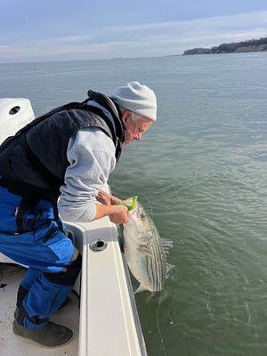 Angler releasing a striped bass in Maryland waters