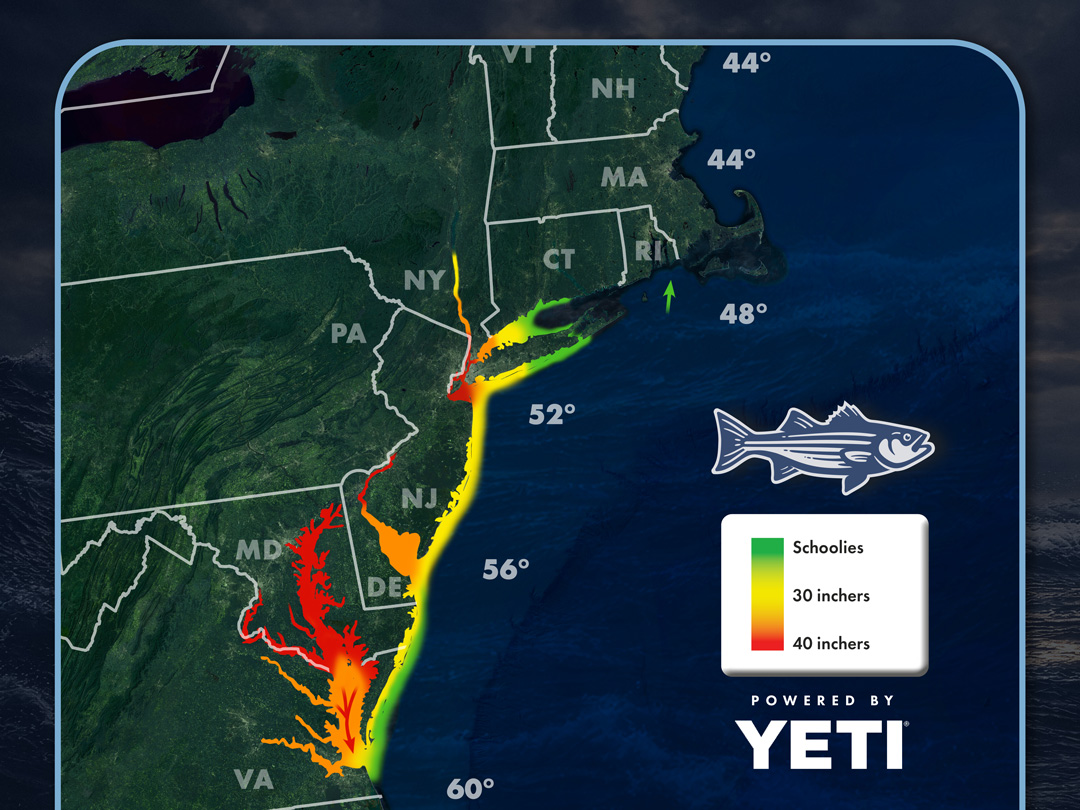 OTW Striper Migration Map thumbnail April 17, 2026