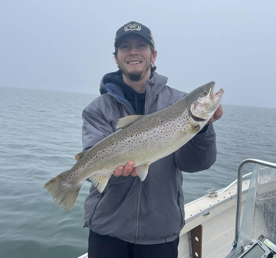 Nick LaRose brown trout 
