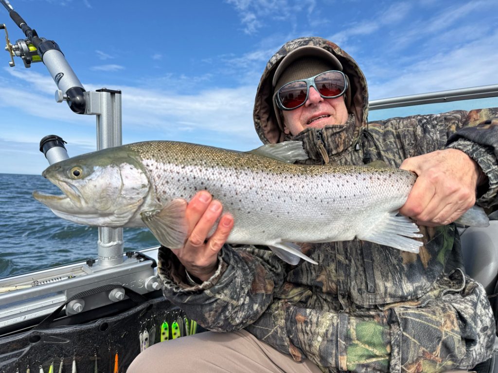 Lake Ontario brown trout
