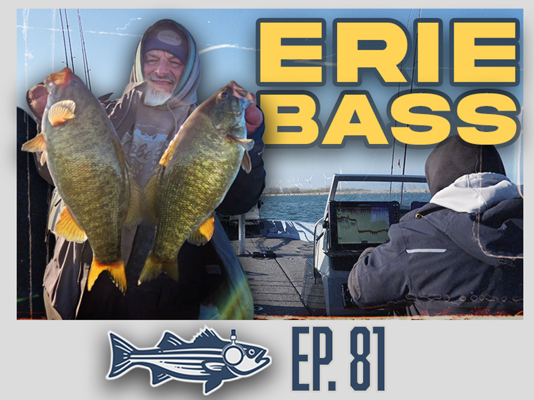 Lake Erie Bass | OTW Podcast #81