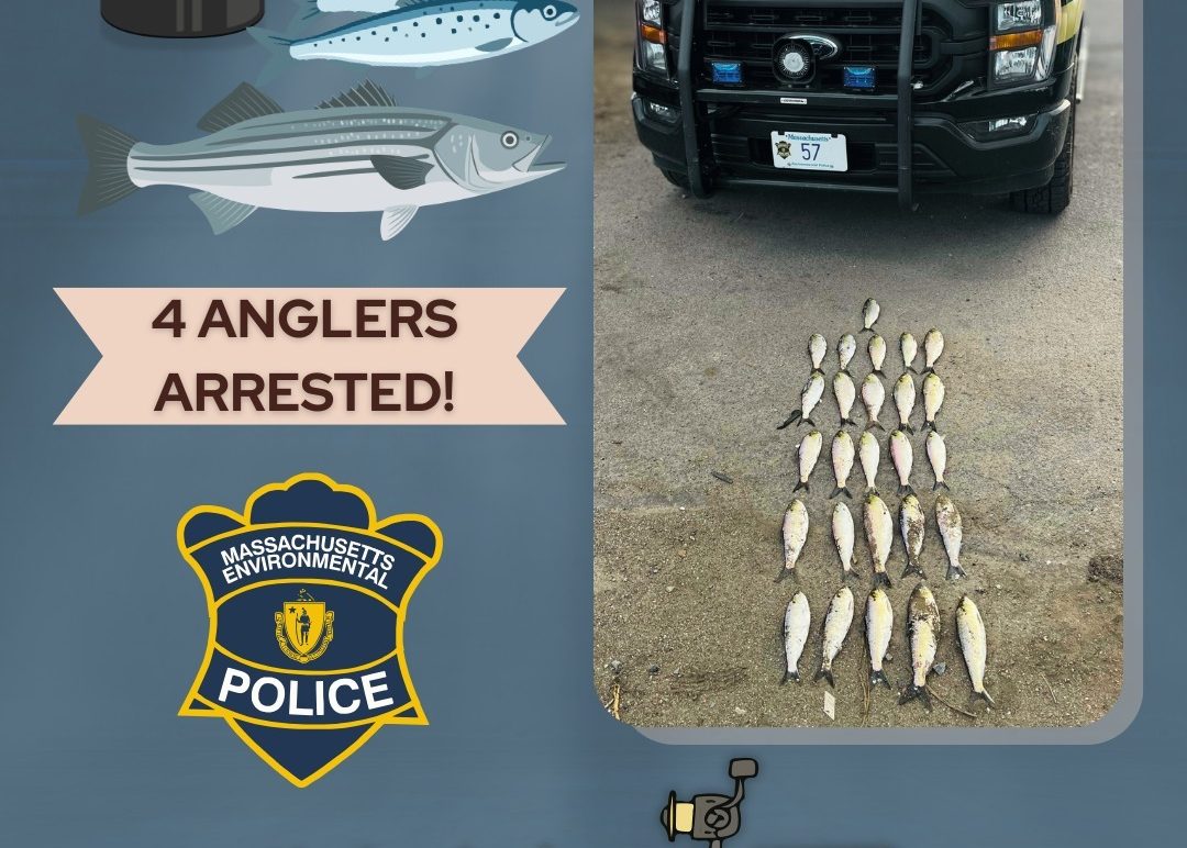 Four Anglers Arrested for Illegal Fishing on Merrimack River