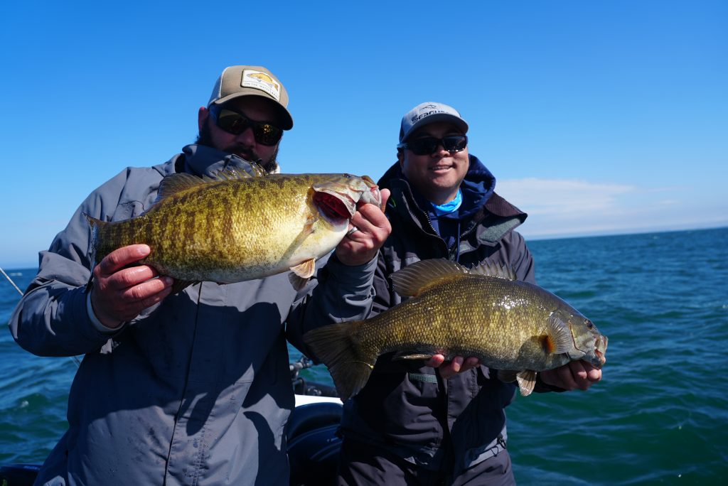 smallmouth on Lake Erie