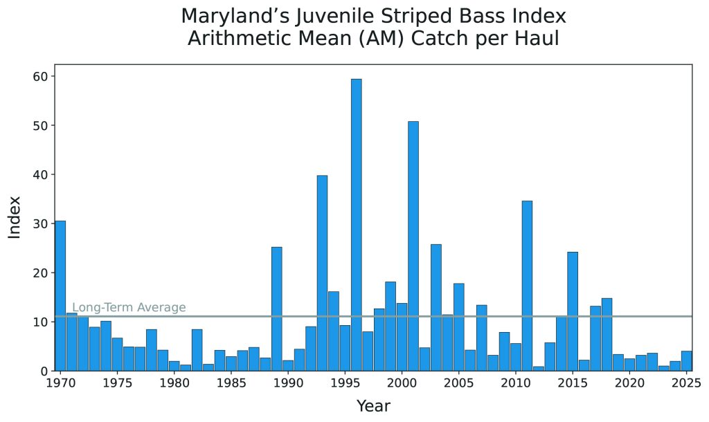 current state of striped bass in 2026