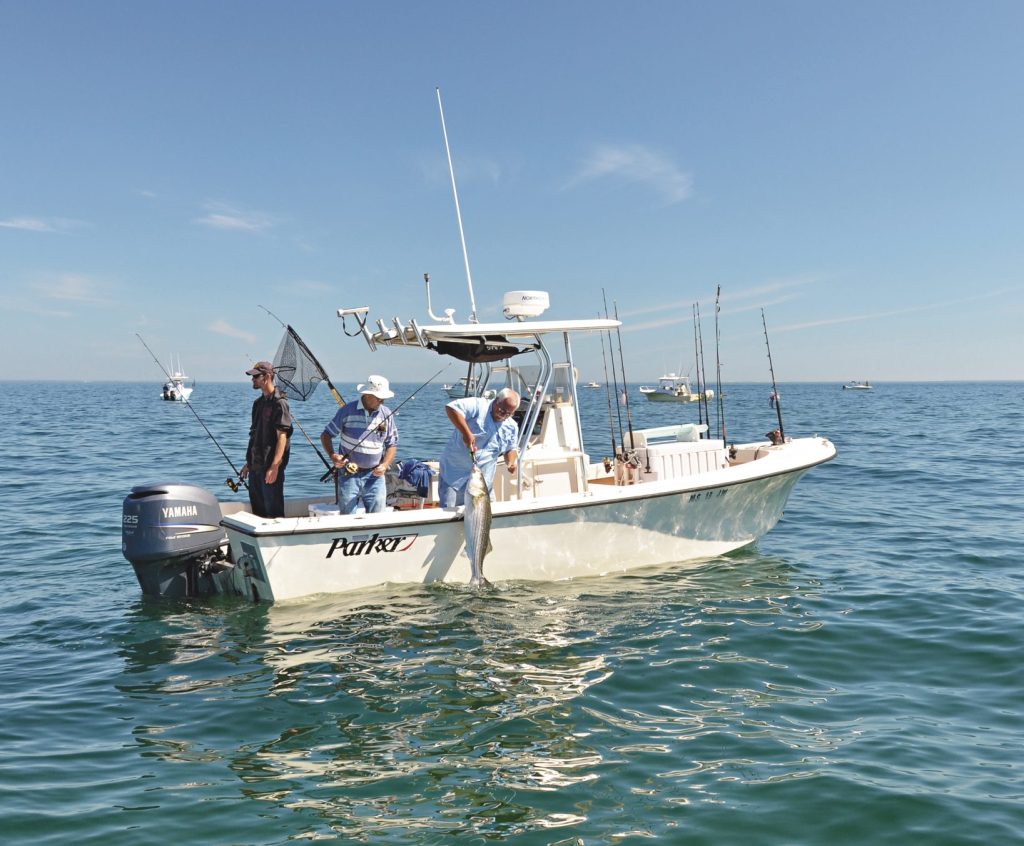 current state of striped bass - commercial fishermen