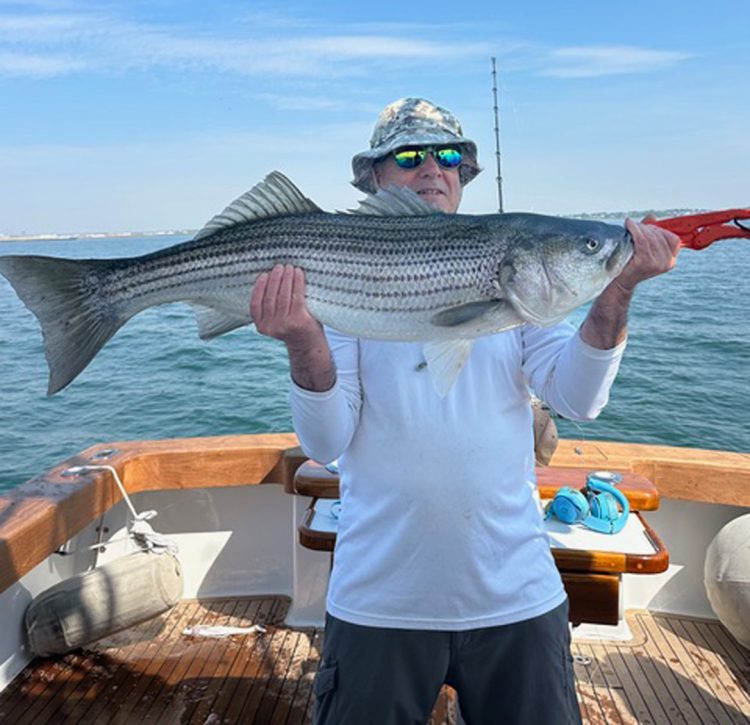 Reel Pursuit Charters striped bass