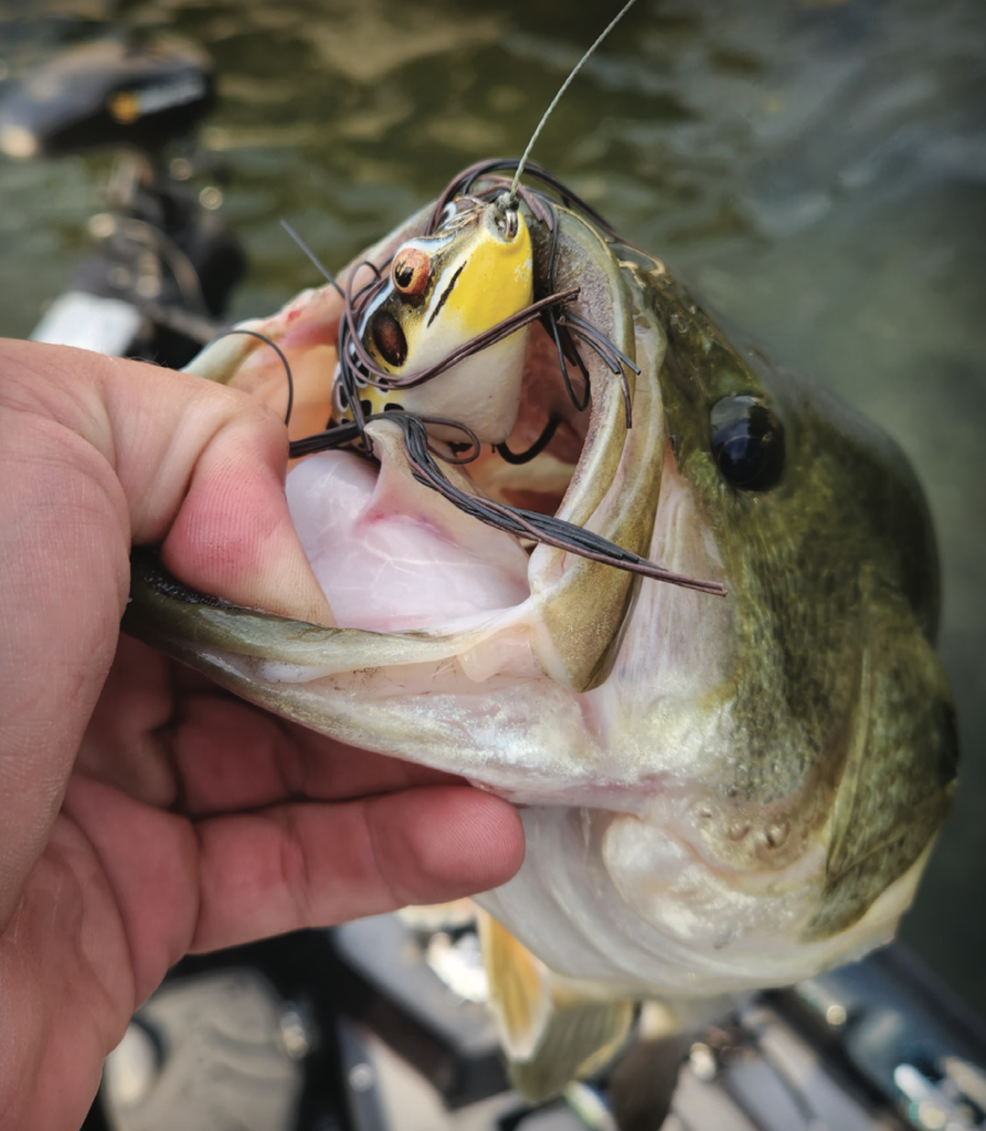 Onondaga Lake frog fishing for bass