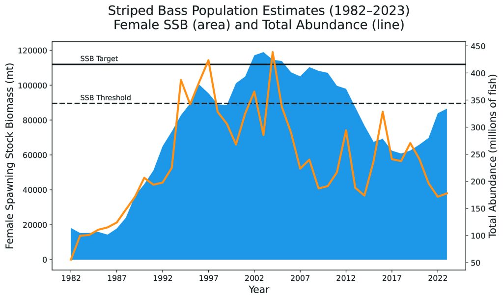 current state of striped bass