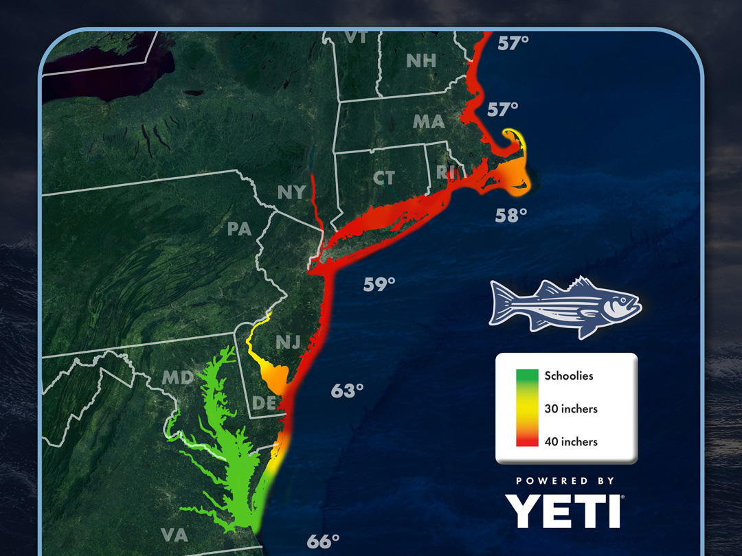 Striper Migration Map
