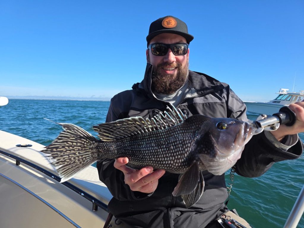 Get Tight Sportfishing black sea bass