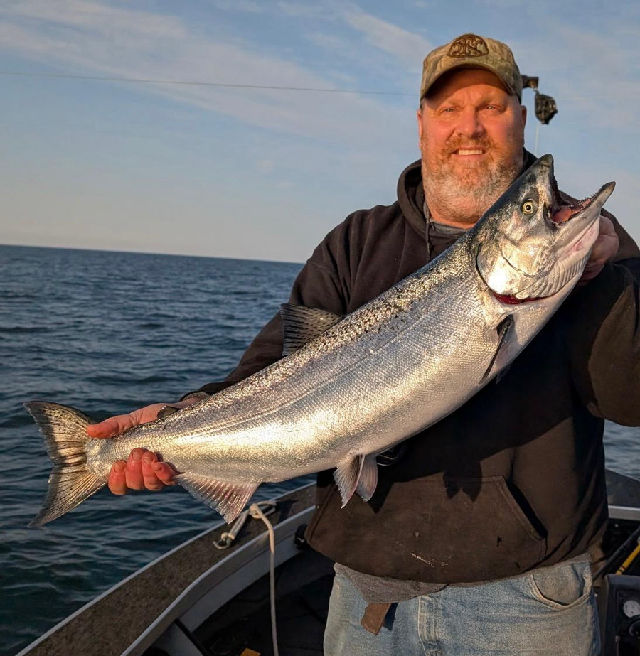 Orleans king salmon