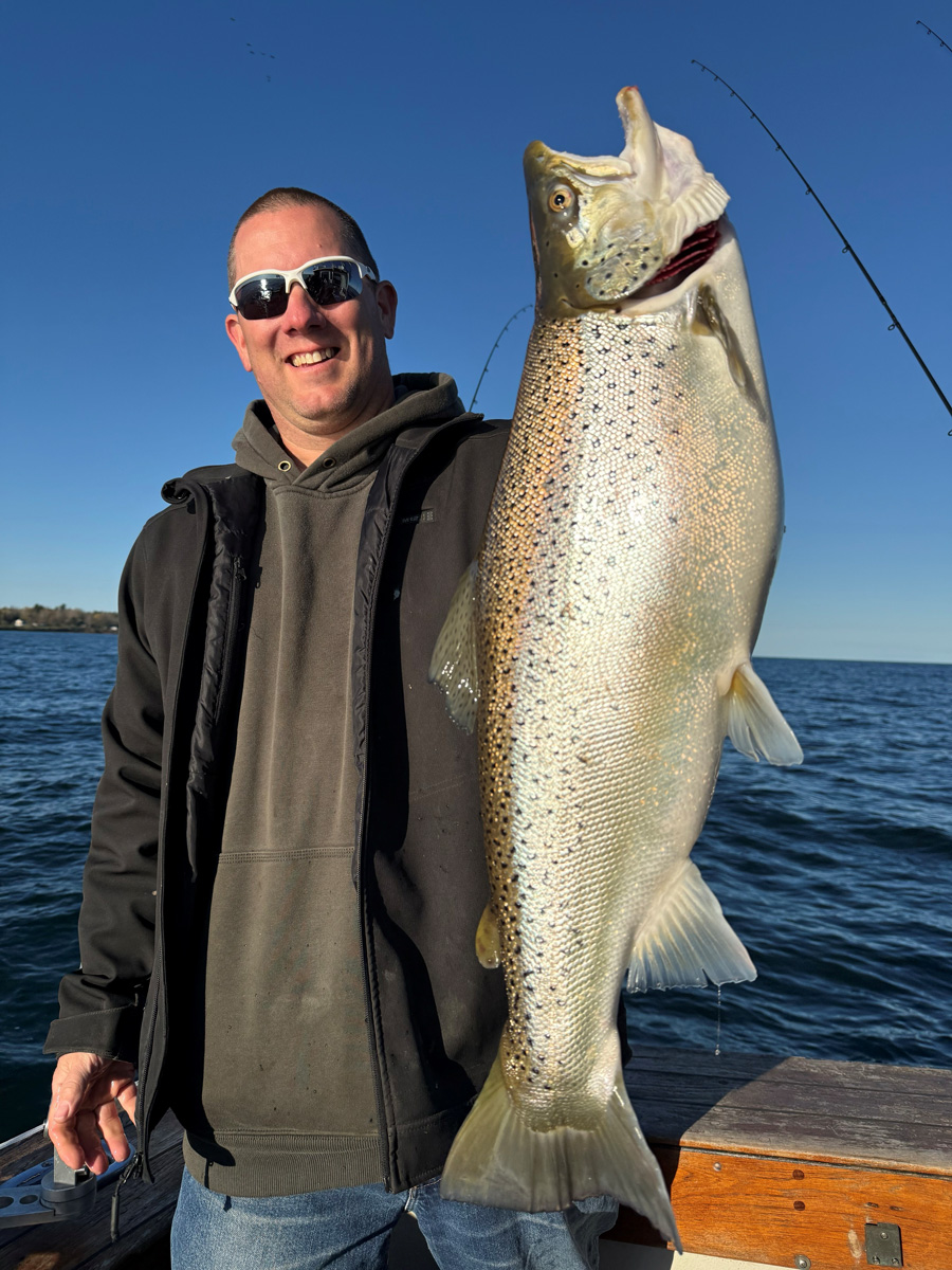 Lake Ontario brown trout