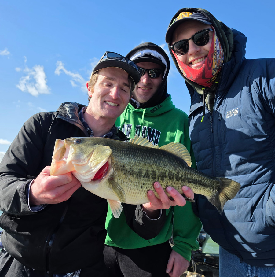 largemouth bass
