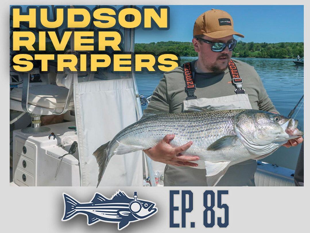 Hudson River Stripers and Cape Cod Squid | OTW Podcast Ep. 85