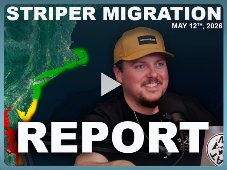 OTW Striper Migration Report Week 9
