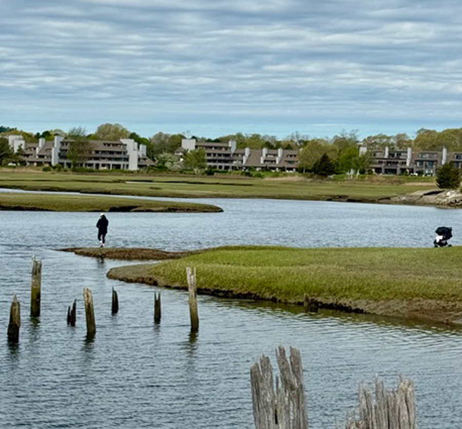 South Shore backwater