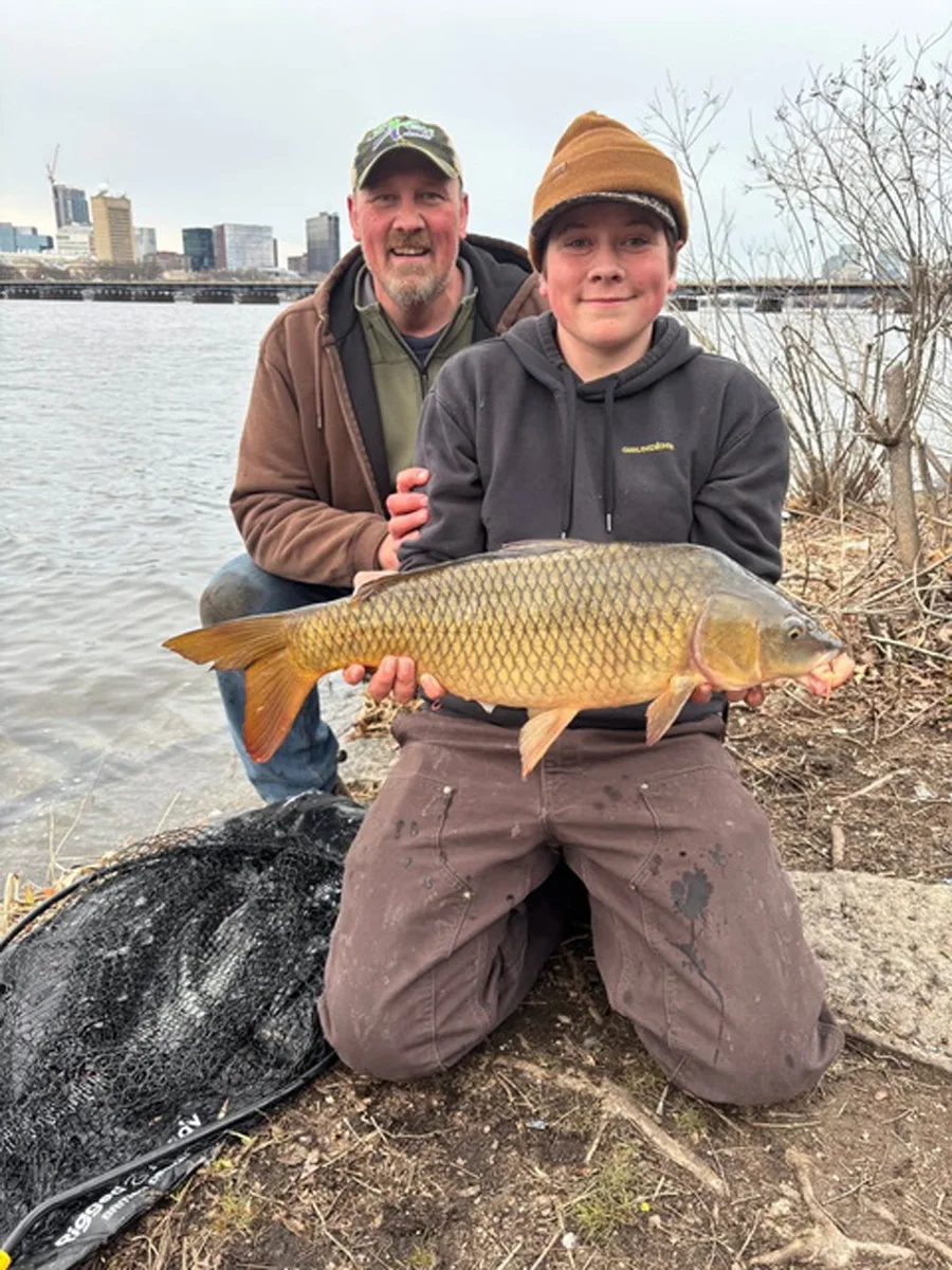 Connecticut River carp