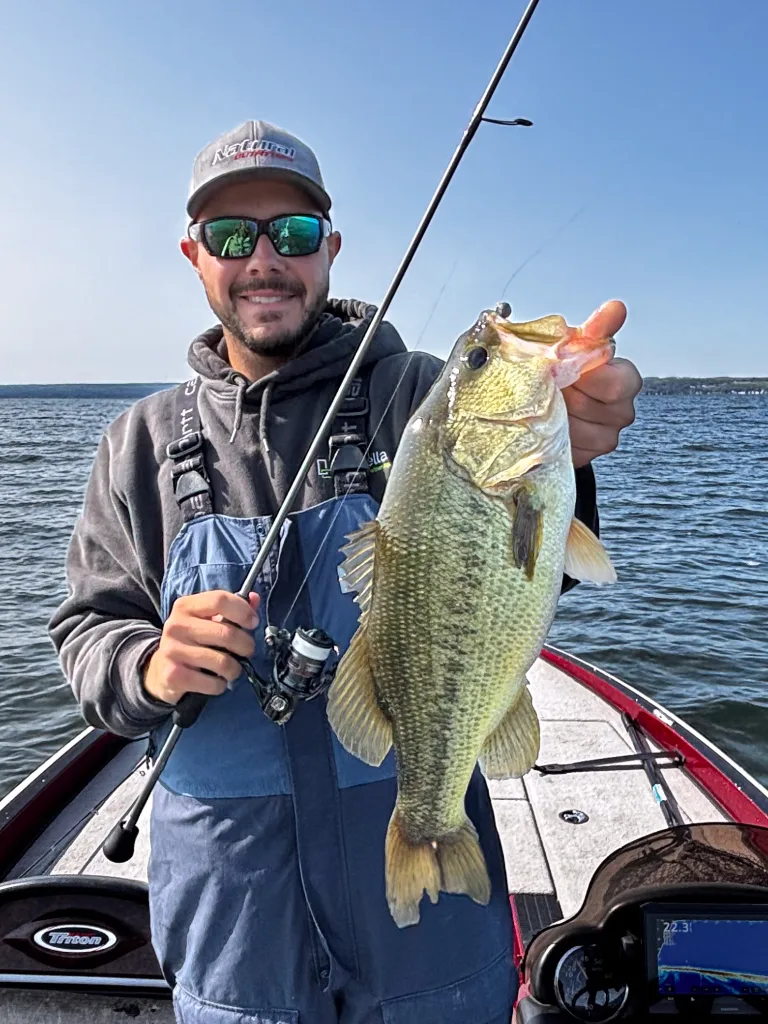 baits for summer bass in deep water