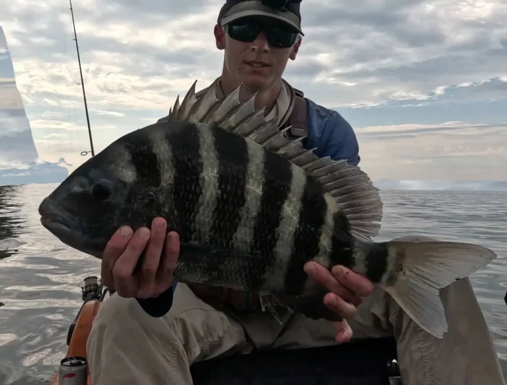Maryland and Chesapeake Bay Fishing Report- June 11, 2026