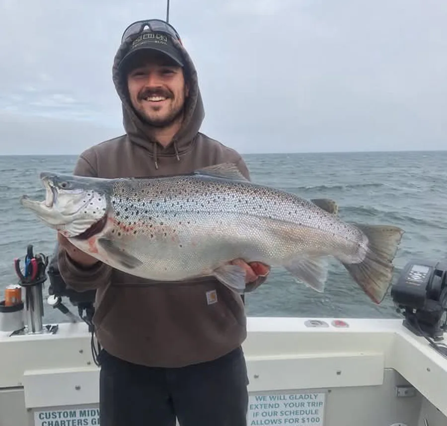 Oswego brown trout