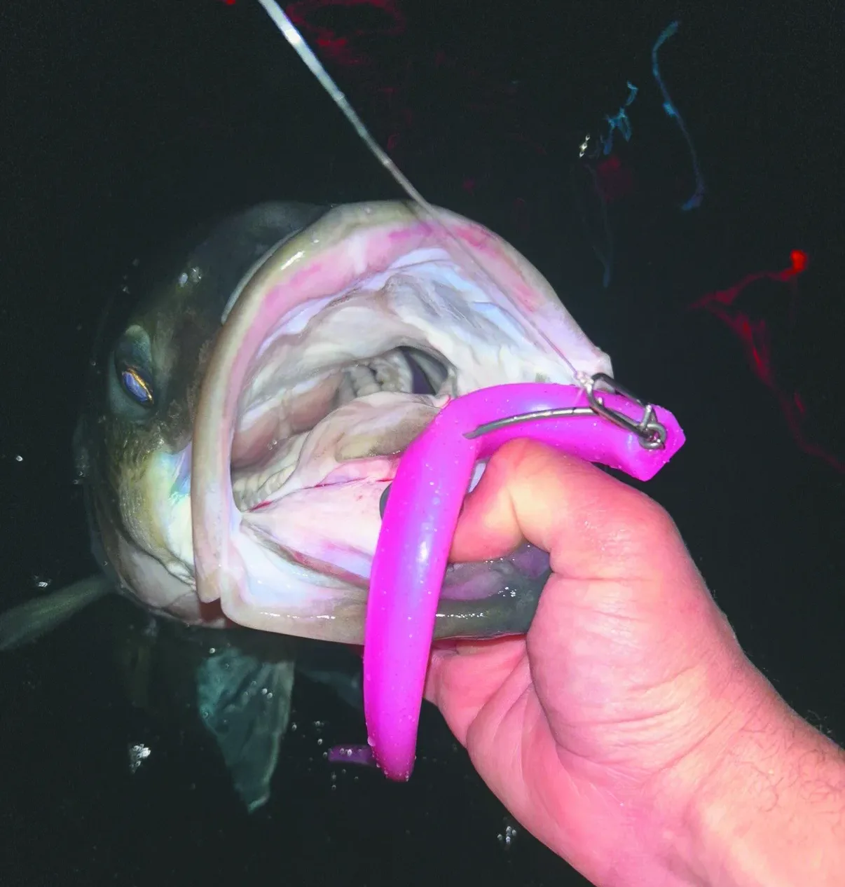 How to Fish Big Soft Plastic Eels for Trophy Stripers from a Kayak