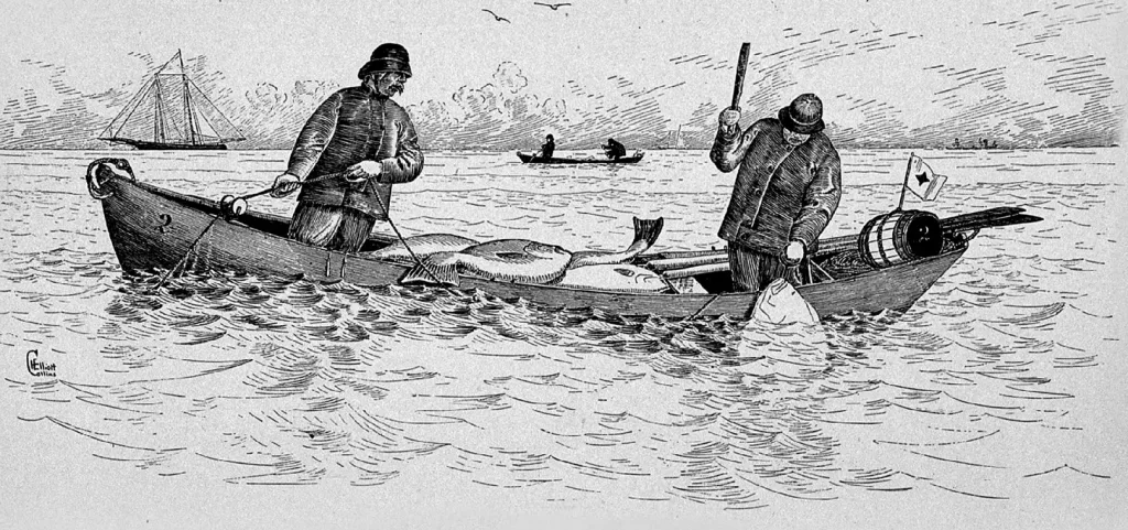 The Tragic History of the Atlantic Halibut in New England