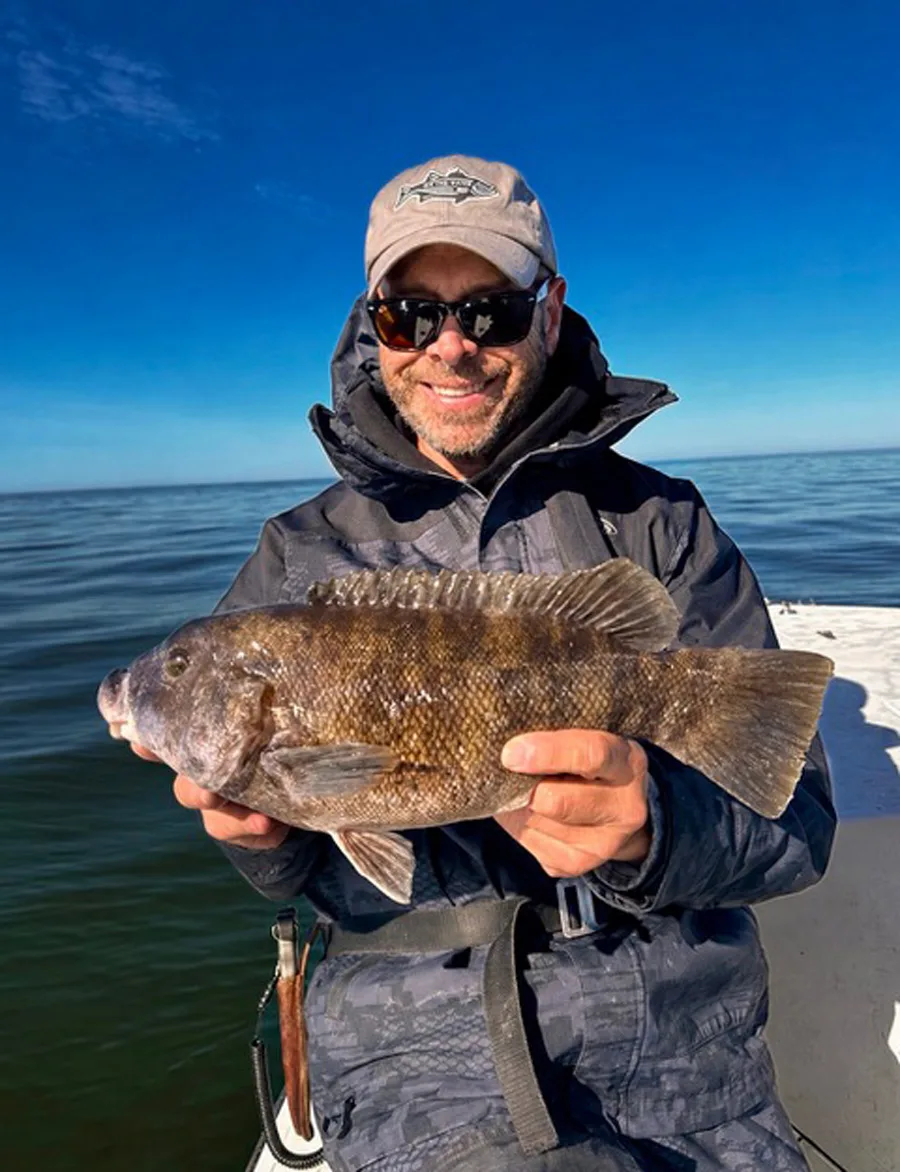 Buzzards Bay tautog