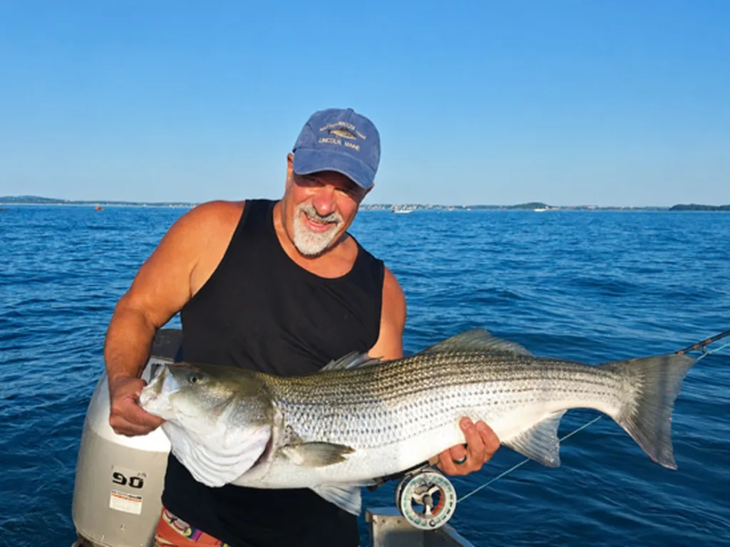 Captain Paul Cuzzupe with striped bass