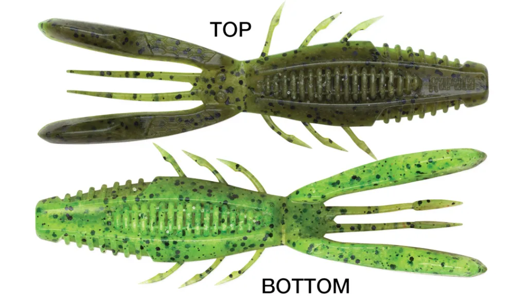 Rapala CrushCity Bronco Bug