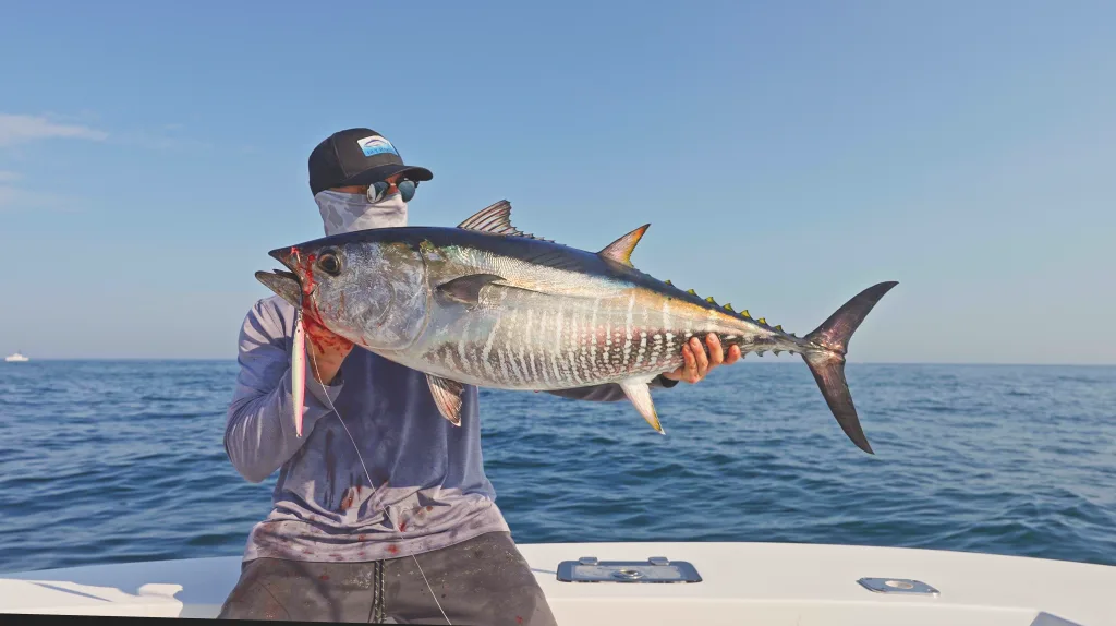 Sleek, sand-eel style jigs catch bluefin tuna at tuna ridge