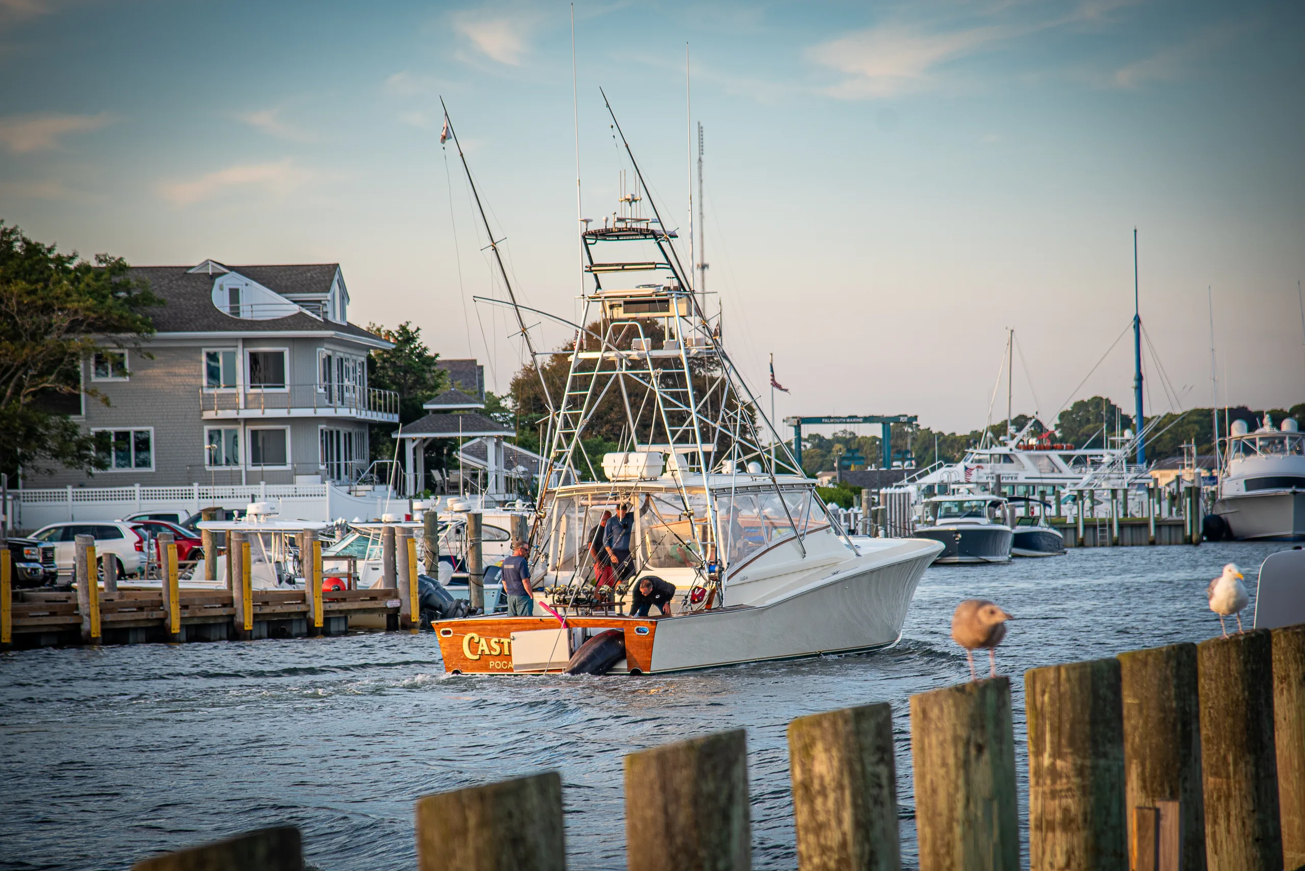 The Castafari sportfishing boat arrives in Falmouth Harbor with a giant blue marlin hanging from its tuna door