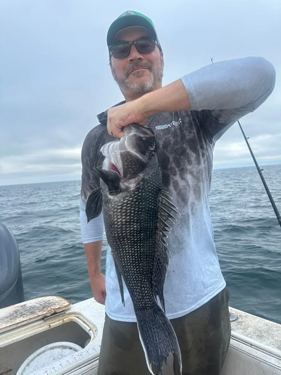 Little Sister black sea bass