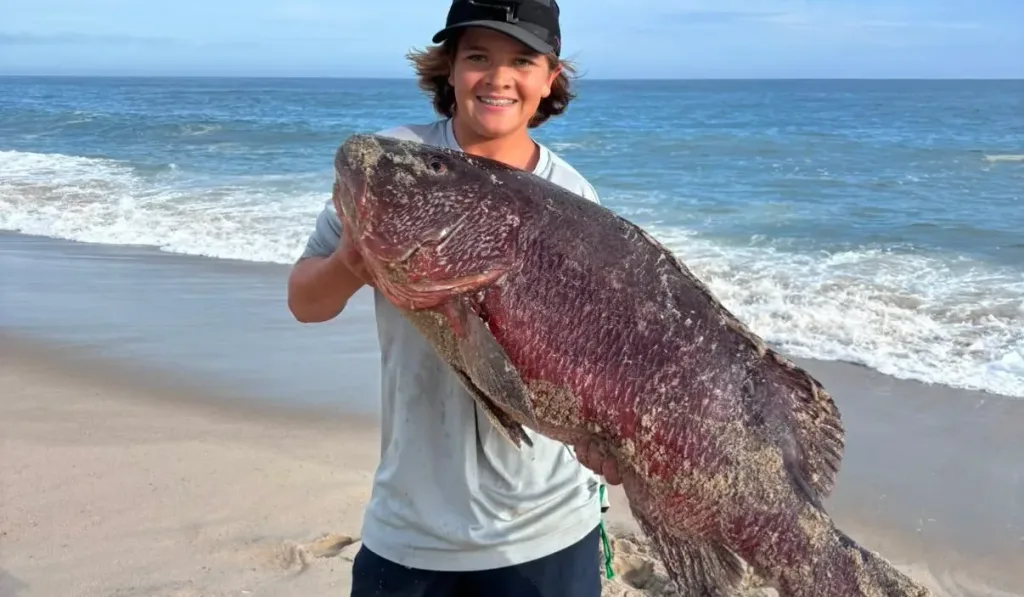 Cape Cod Fishing Report- September 3, 2026