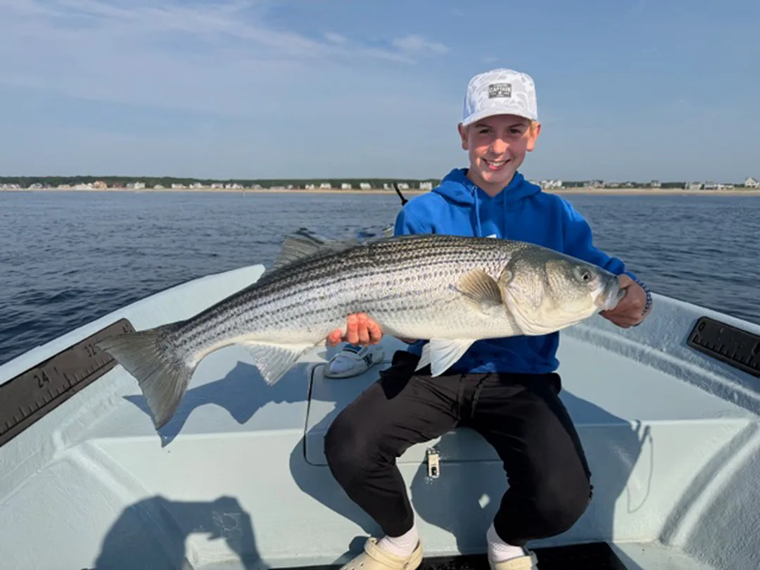 Diamond Pass Charters striped bass