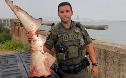Angler Caught Harvesting Federally-Protected Sand Tiger Shark in NY