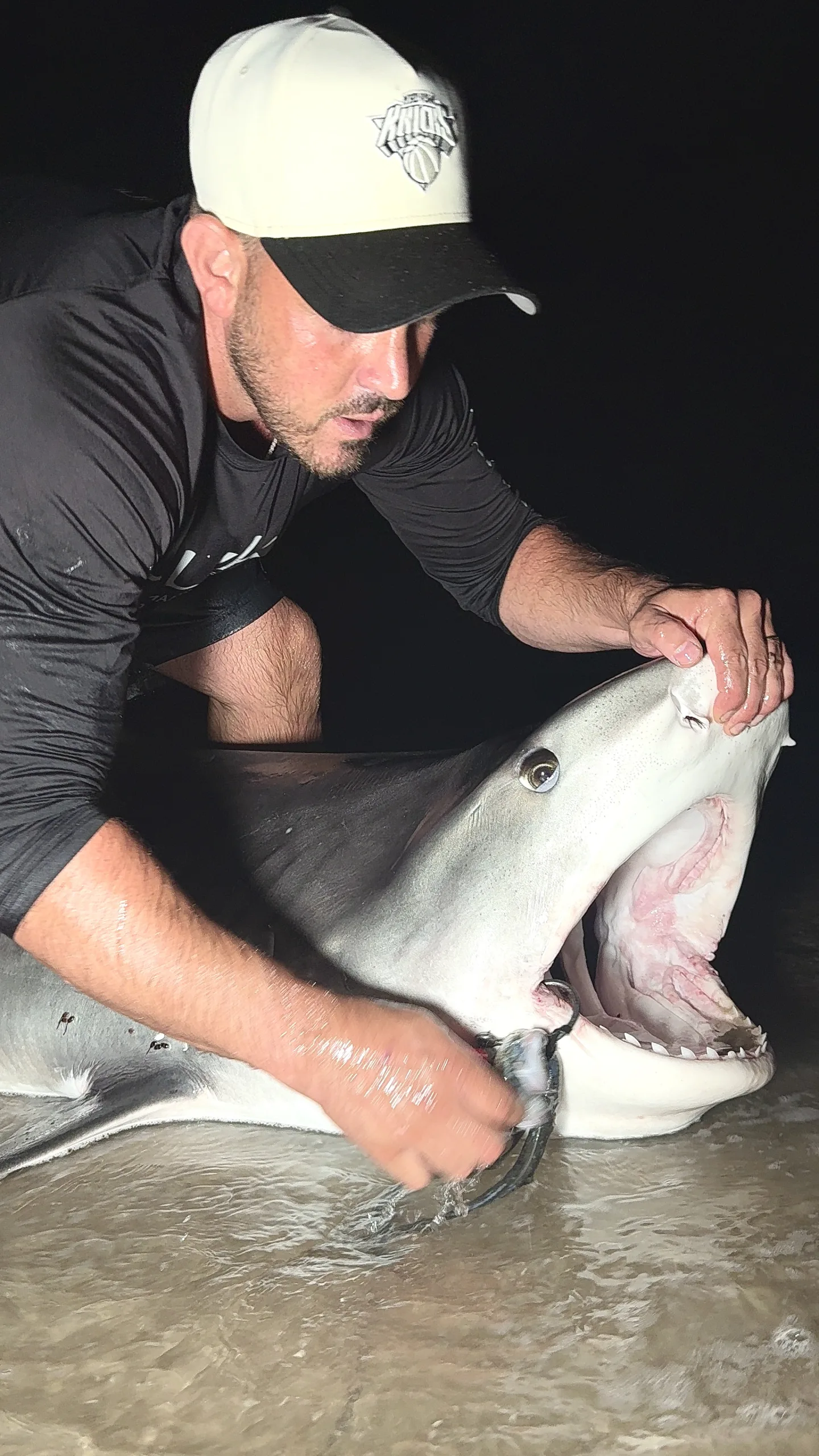 It is rare to encounter tiger sharks on Long Island. Here, Jason Landerer removing the hook from a tiger shark caught off Long Beach, New York, with an eel still in the corner of its mouth.