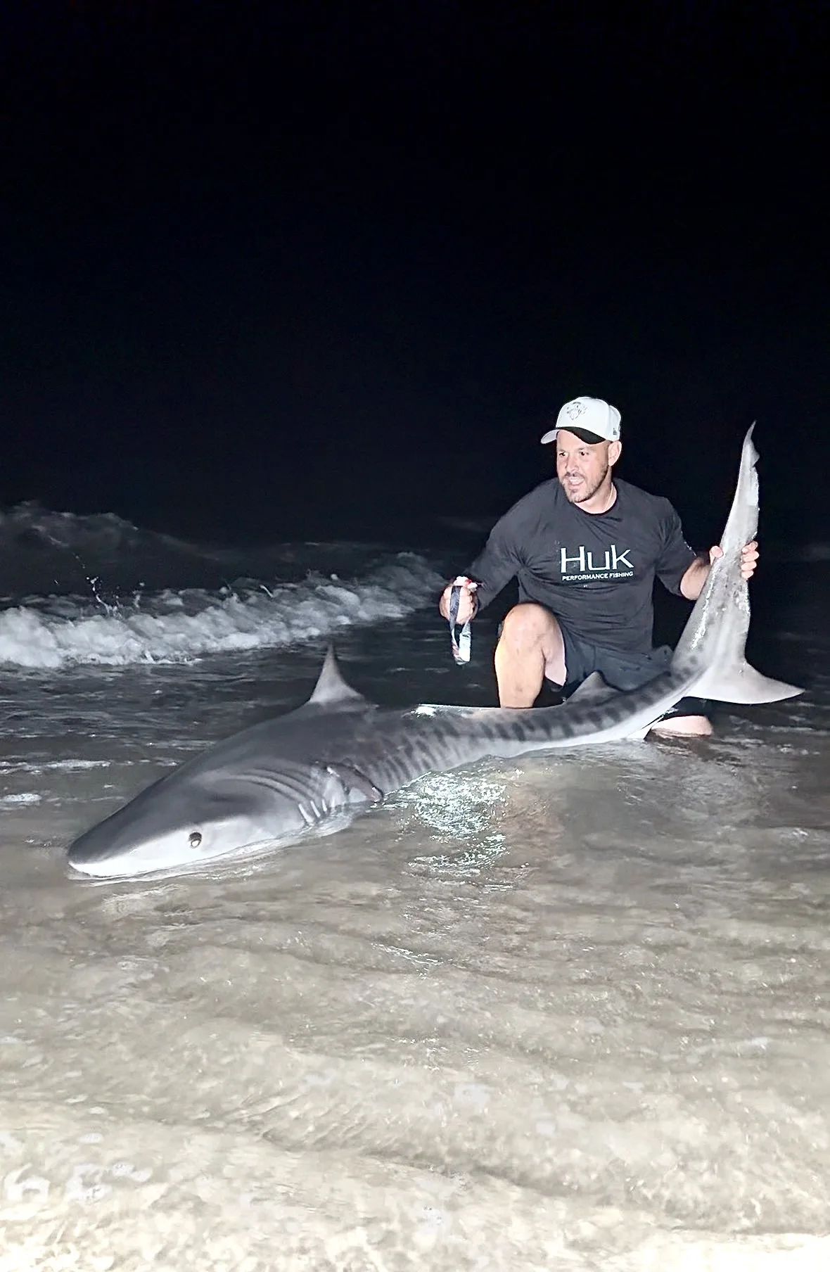 Two Tiger Sharks Caught on Long Island, NY on Back-to-Back Nights