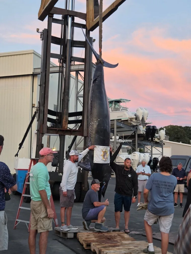 Captain Damon Sacco and crew members Mike Jones and Malcolm Austin pose with the 1,260-pound record blue marlin