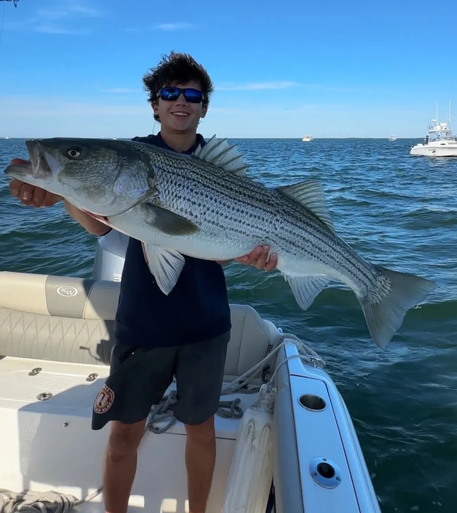 Legit Fish striped bass
