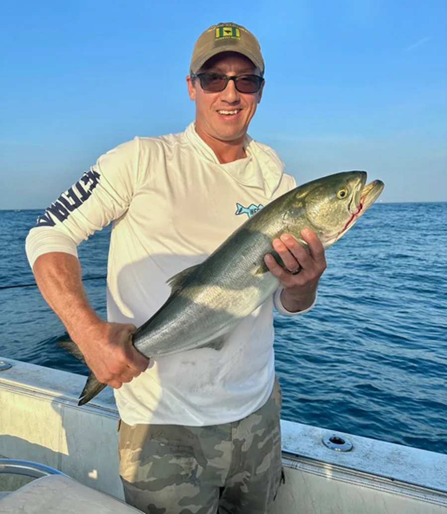 Westport bluefish