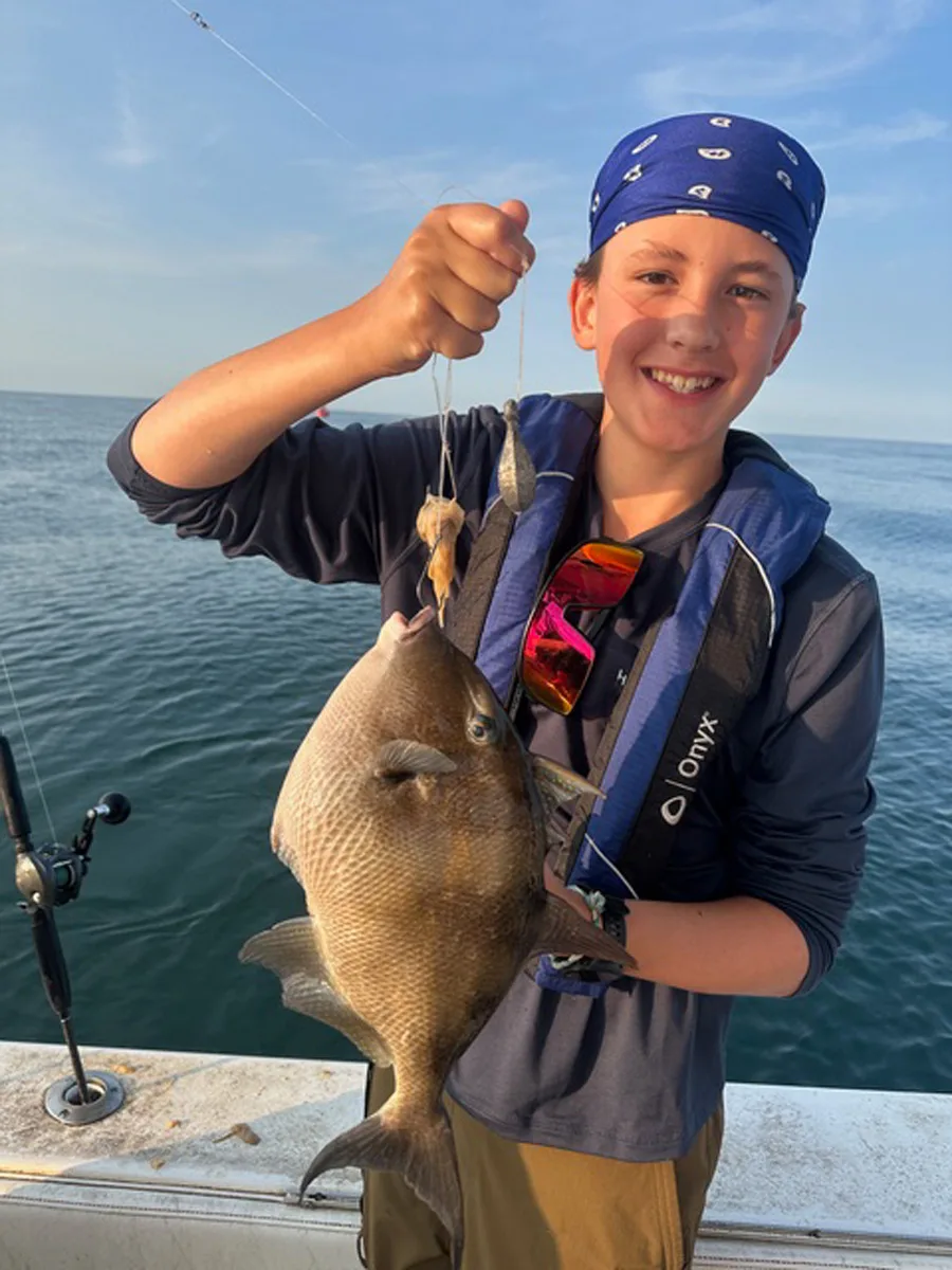 Tucker's triggerfish