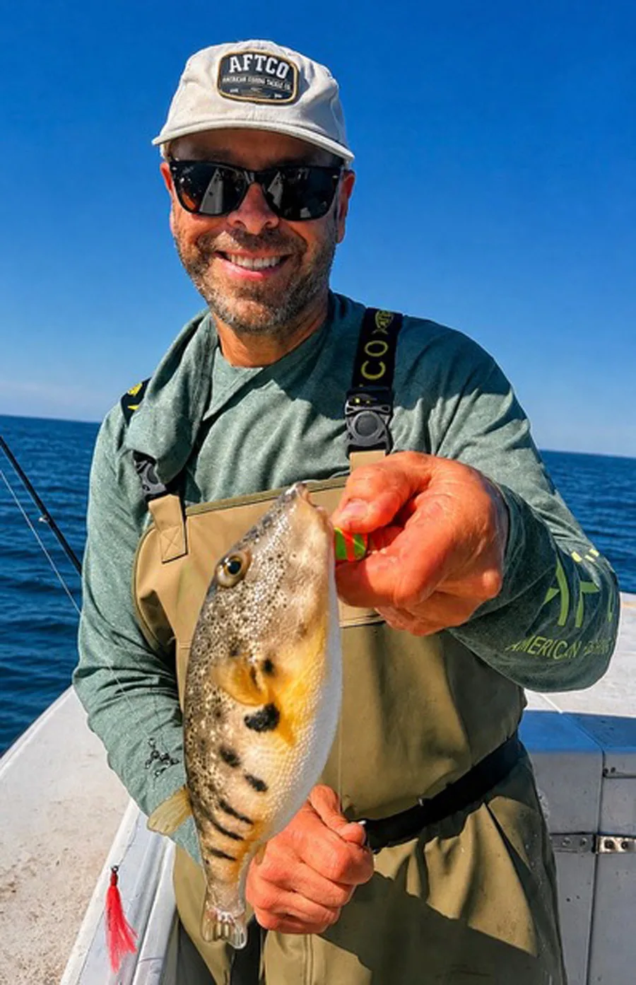 Buzzards Bay blowfish