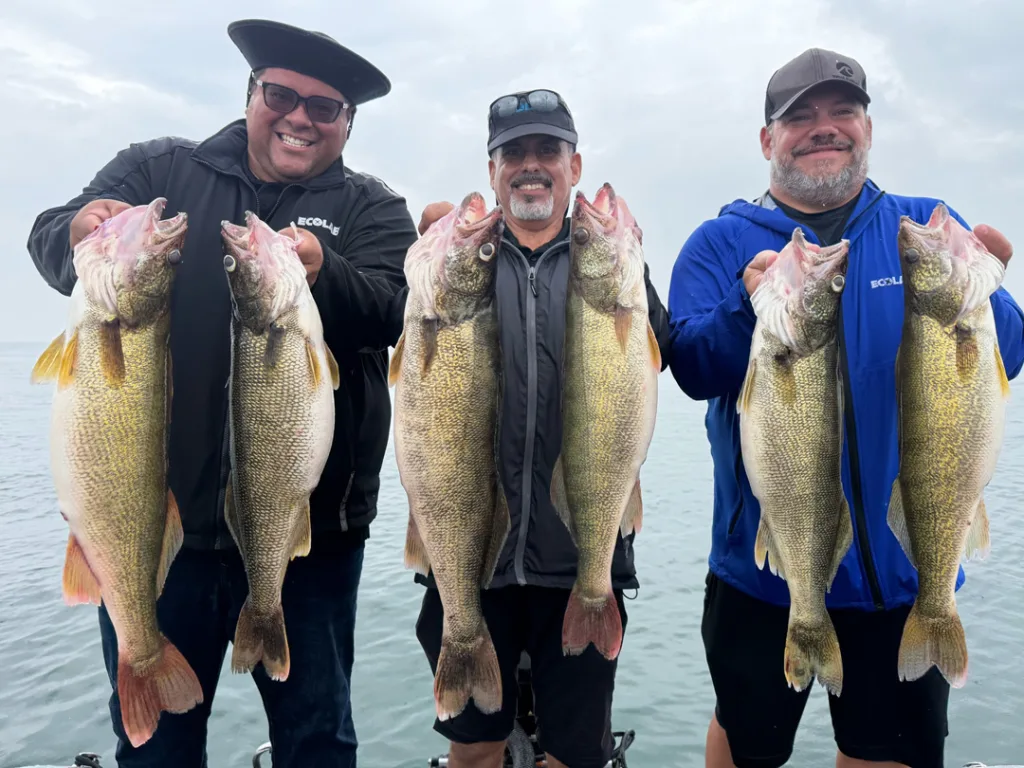 Reel Impact Tournament walleyes