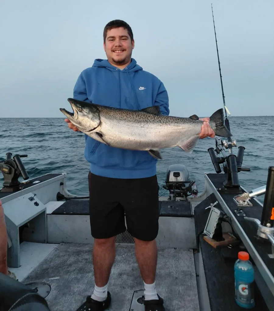 king salmon