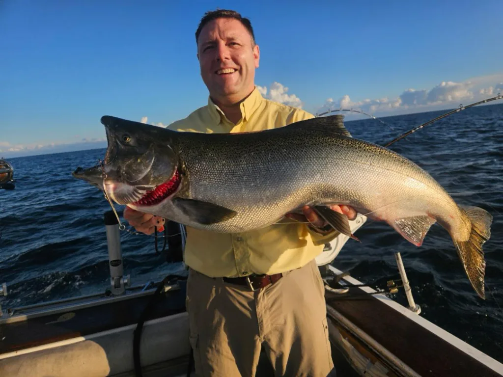 king salmon