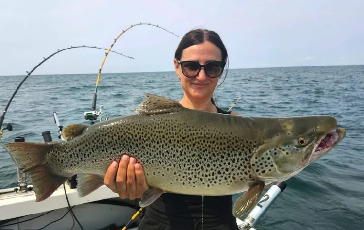 Strike Zone Charters brown trout