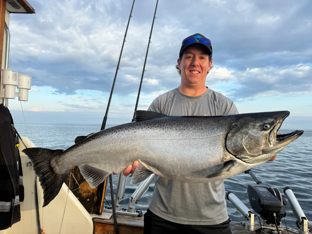 chinook salmon