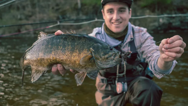 Salmon River smallmouth